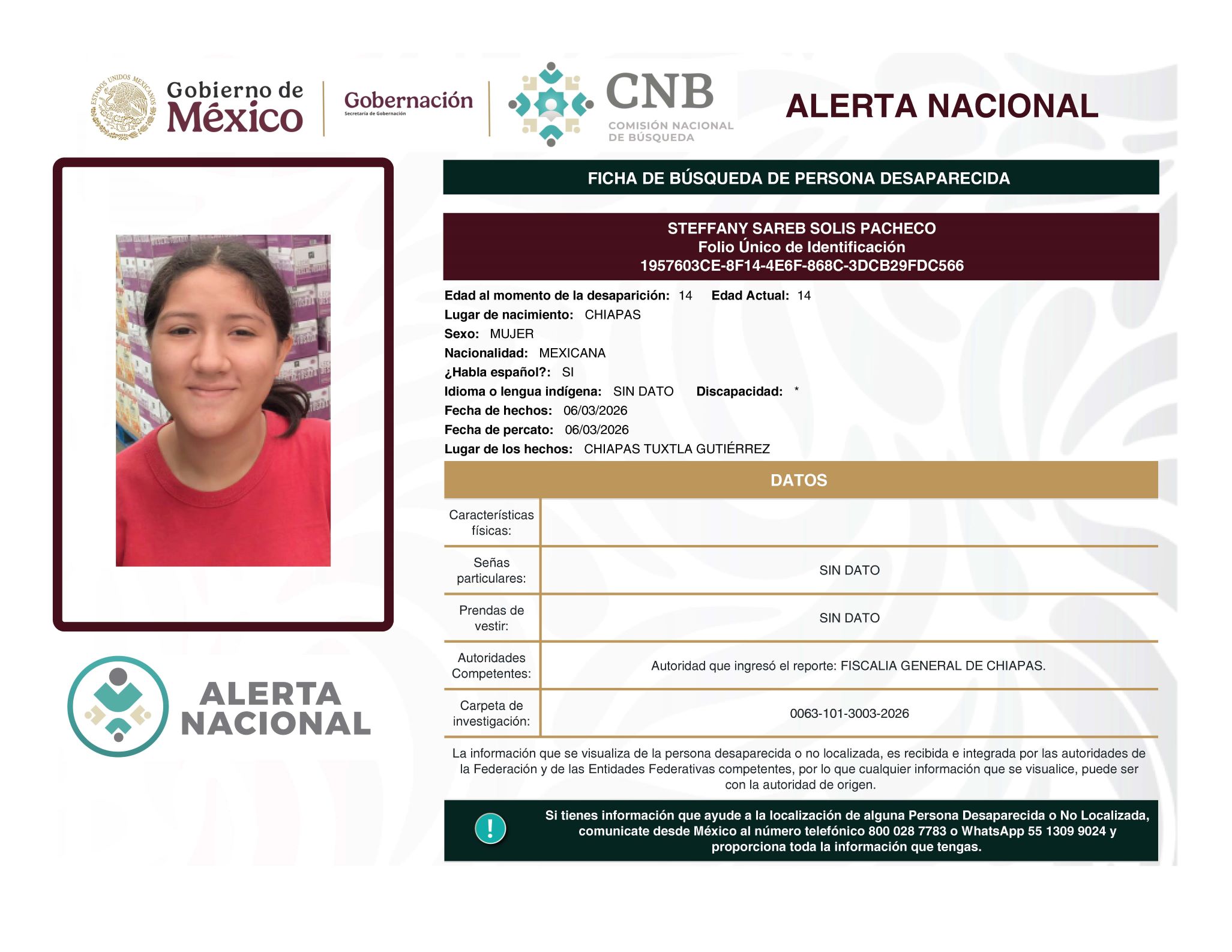 STEFFANY SAREB SOLIS PACHECO